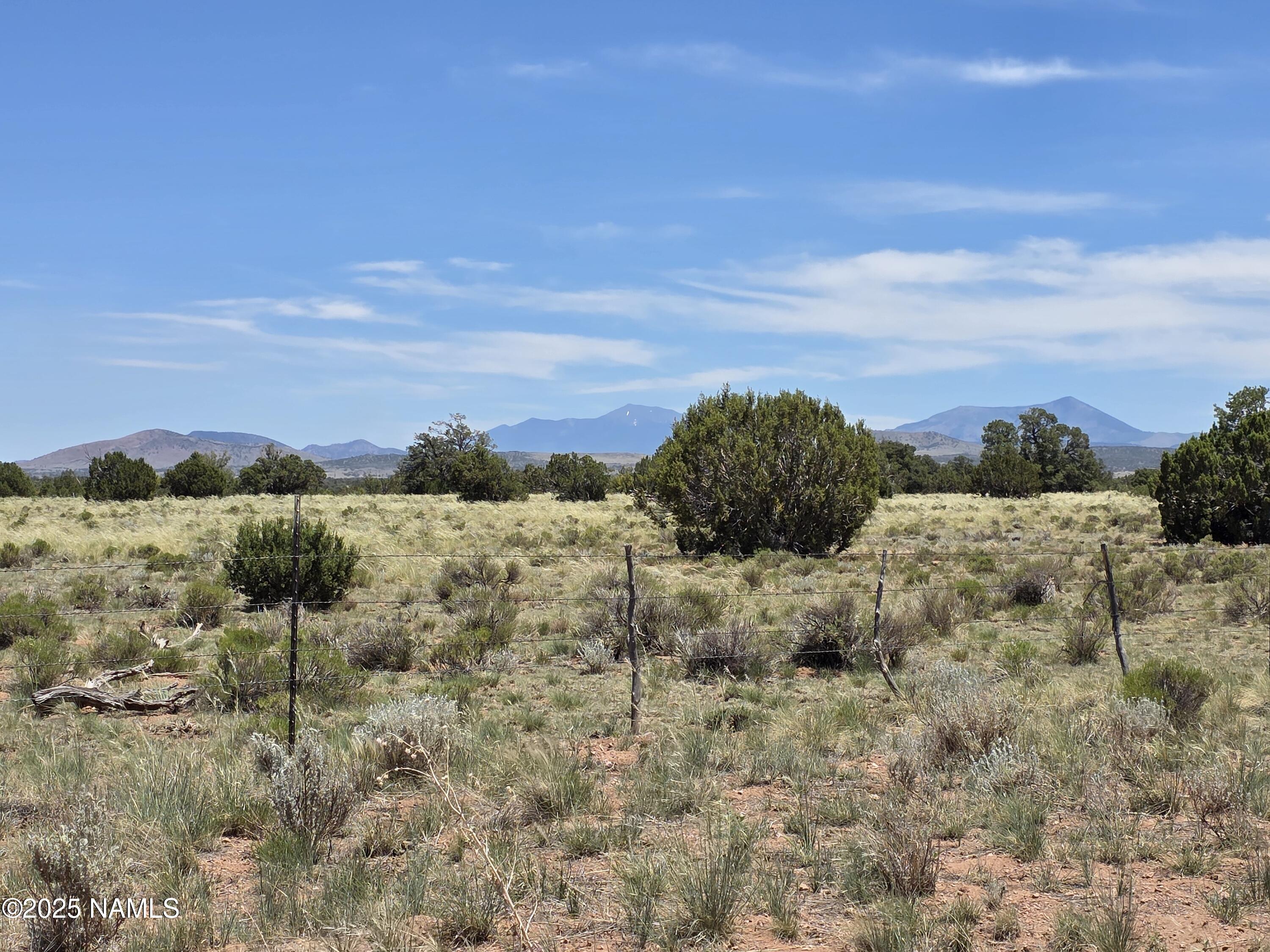 3164 South Spruce Road Williams, AZ 86046 - Photo 5 of 24 1000048953
