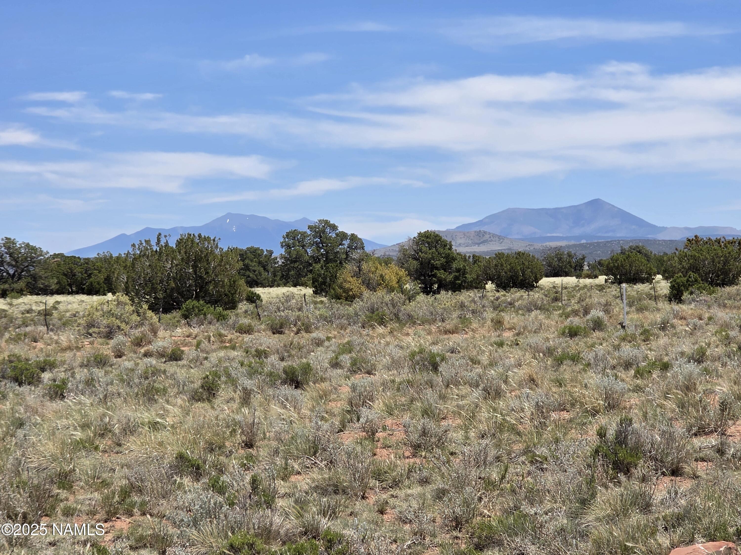 3164 South Spruce Road Williams, AZ 86046 - Photo 7 of 24 1000048948