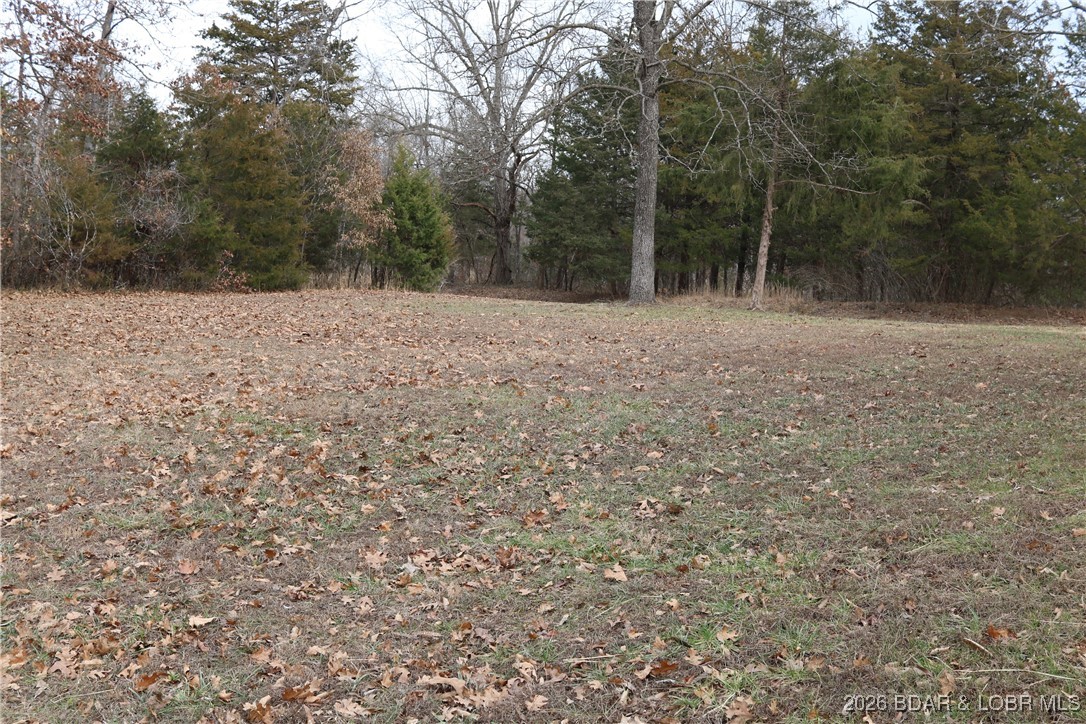 28660 Crestline Road Gravois Mills, MO 65037 - Photo 38 of 52