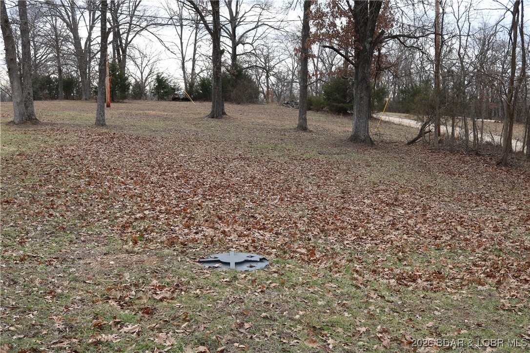 28660 Crestline Road Gravois Mills, MO 65037 - Photo 39 of 52