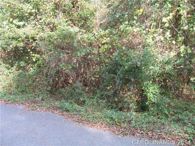 64 Timber Ridge Road Monroe, NC 28112 - Photo 3 of 9 Gallery Image 3