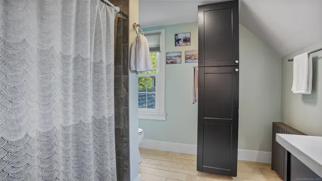 a bathroom with a shower and a toilet