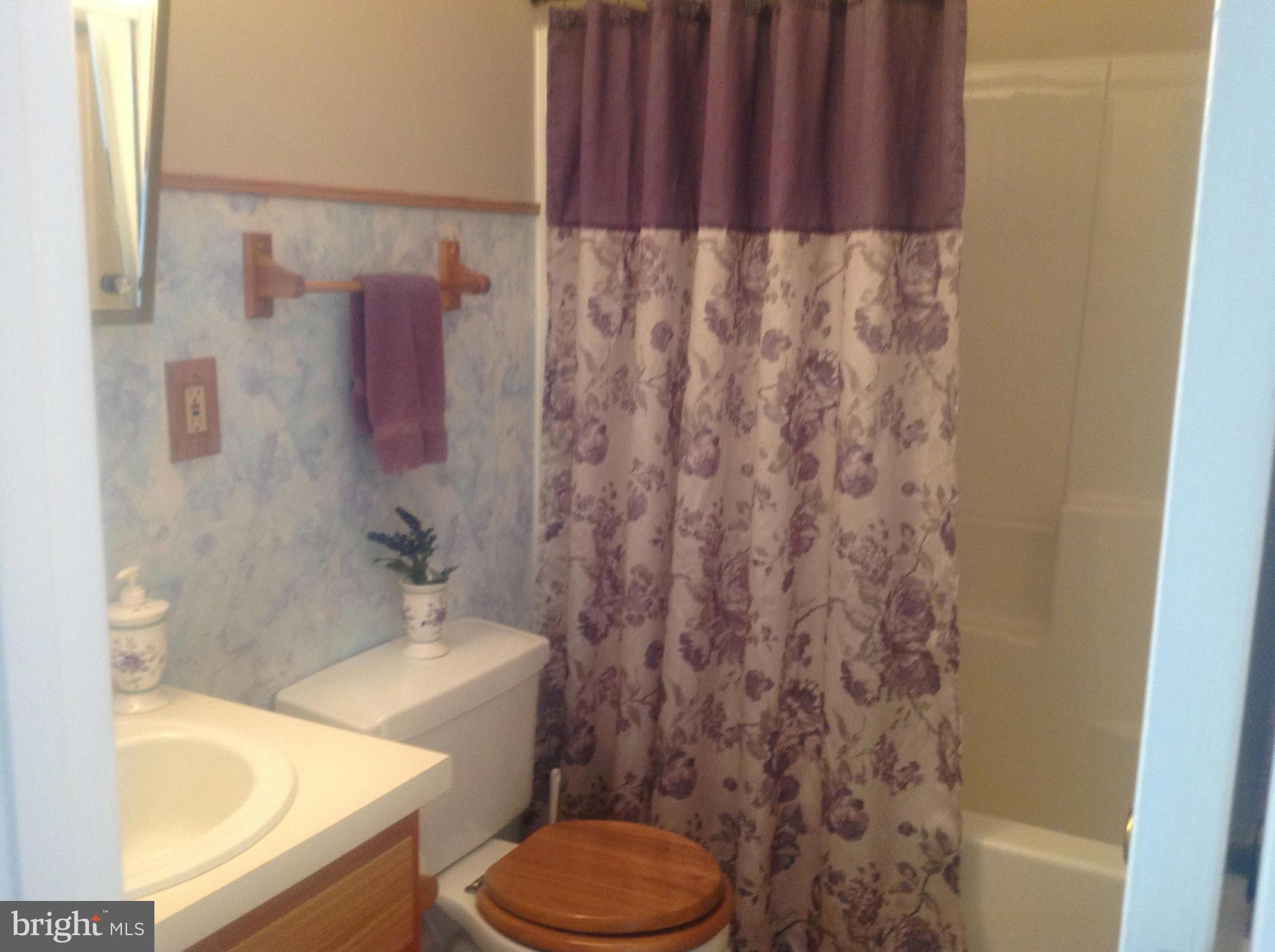 29113 Raccoon Ford Road Burr Hill, VA 22433 - Photo 8 of 15 Bath