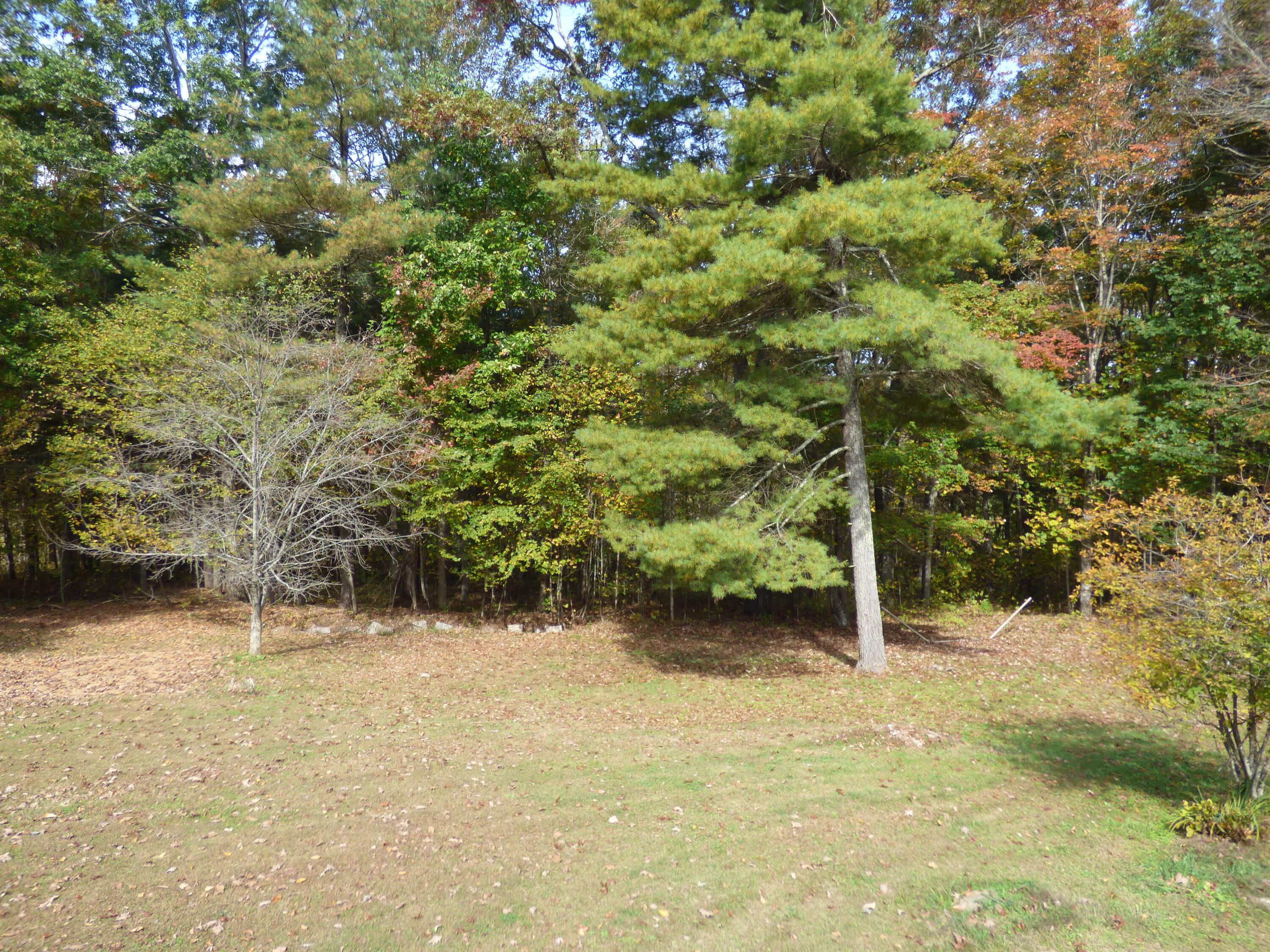 110 Little Cabin Road Northeast Floyd, VA 24091 - Photo 16 of 32 a view of outdoor space and a yard
