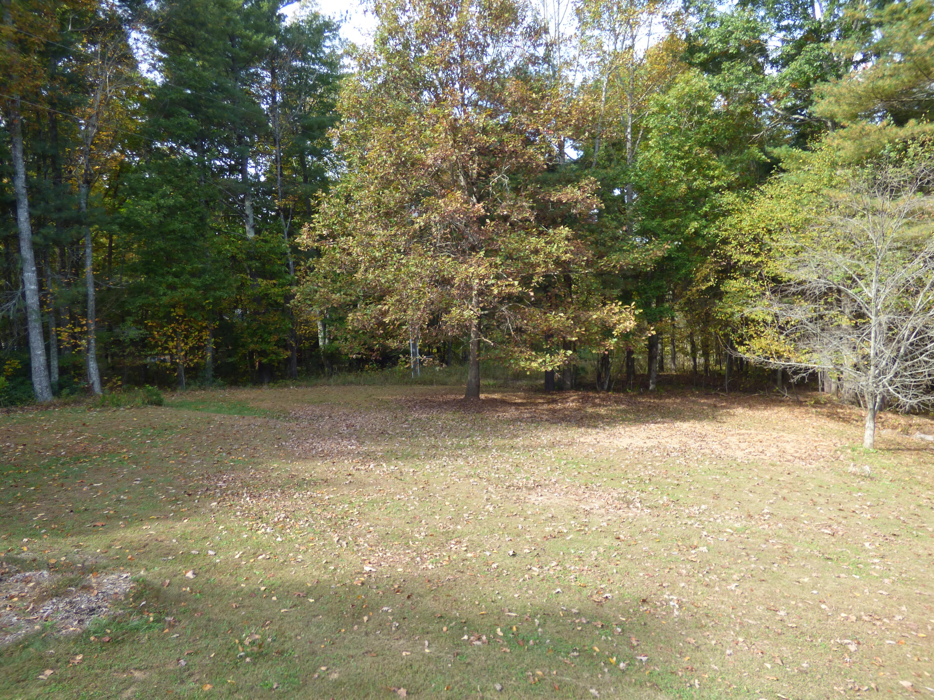 110 Little Cabin Road Northeast Floyd, VA 24091 - Photo 17 of 32 a view of a yard with trees