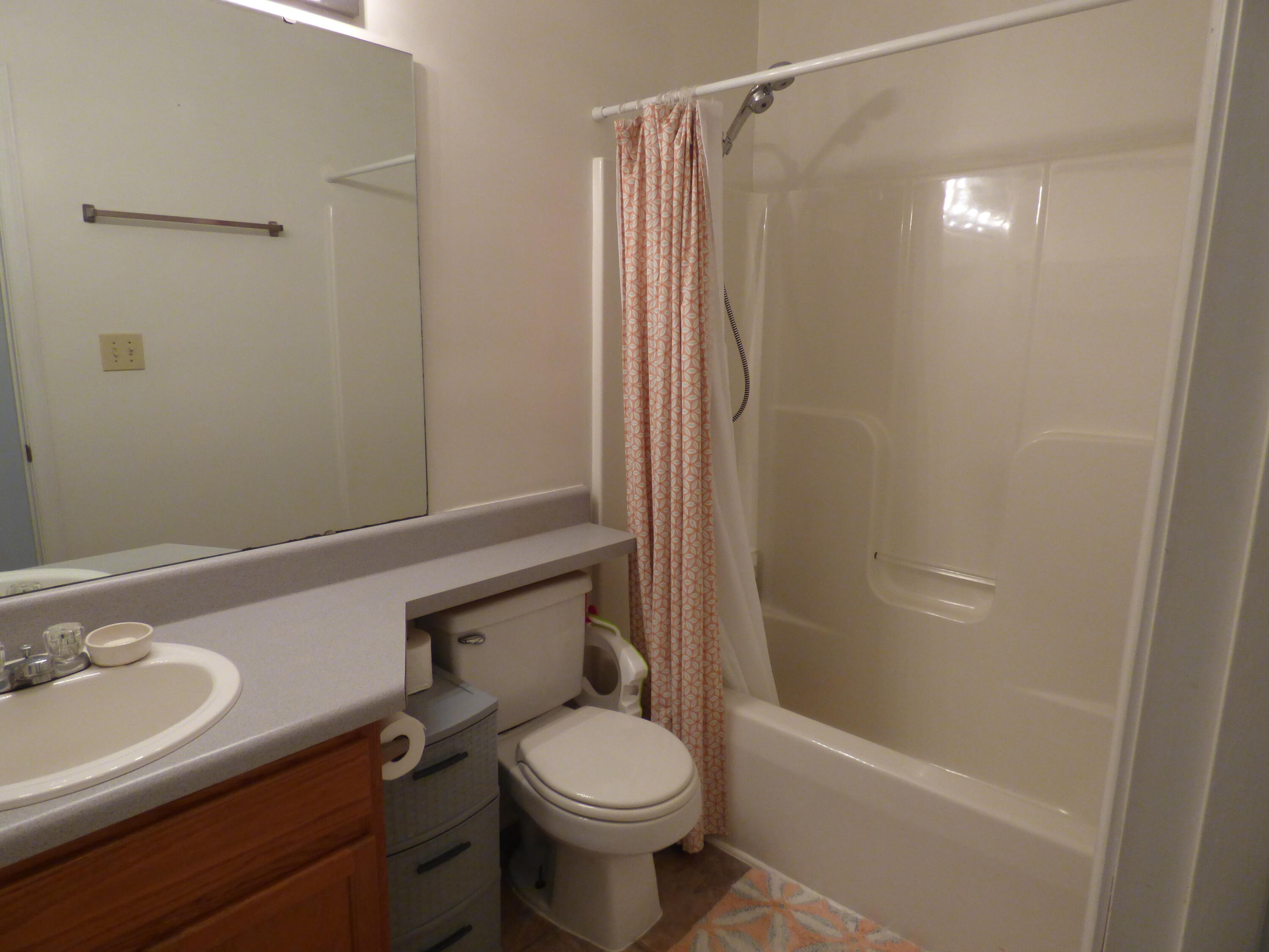 110 Little Cabin Road Northeast Floyd, VA 24091 - Photo 32 of 32 a bathroom with a sink toilet and shower