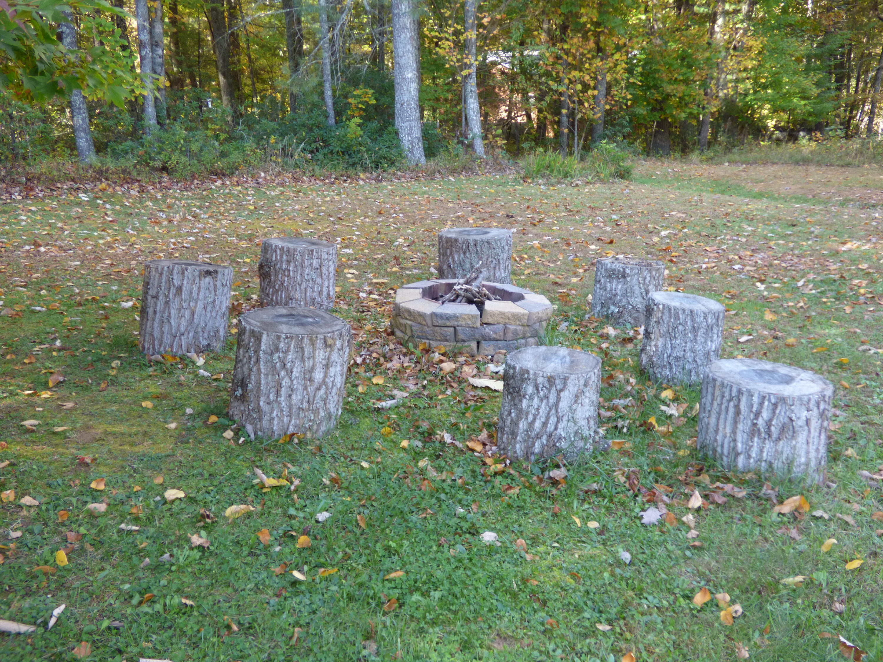 110 Little Cabin Road Northeast Floyd, VA 24091 - Photo 9 of 32 a view of a backyard with fountain