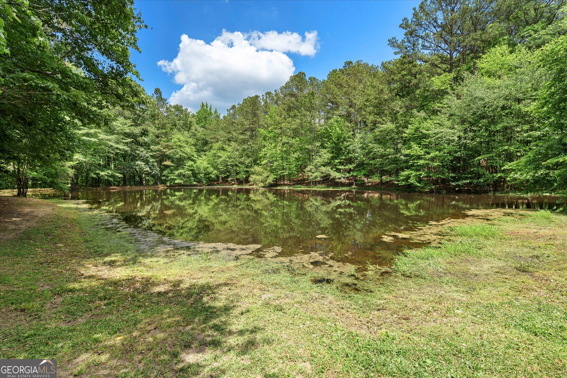 950 Moss Ferry Road Villa Rica, GA 30180 - Photo 60 of 67