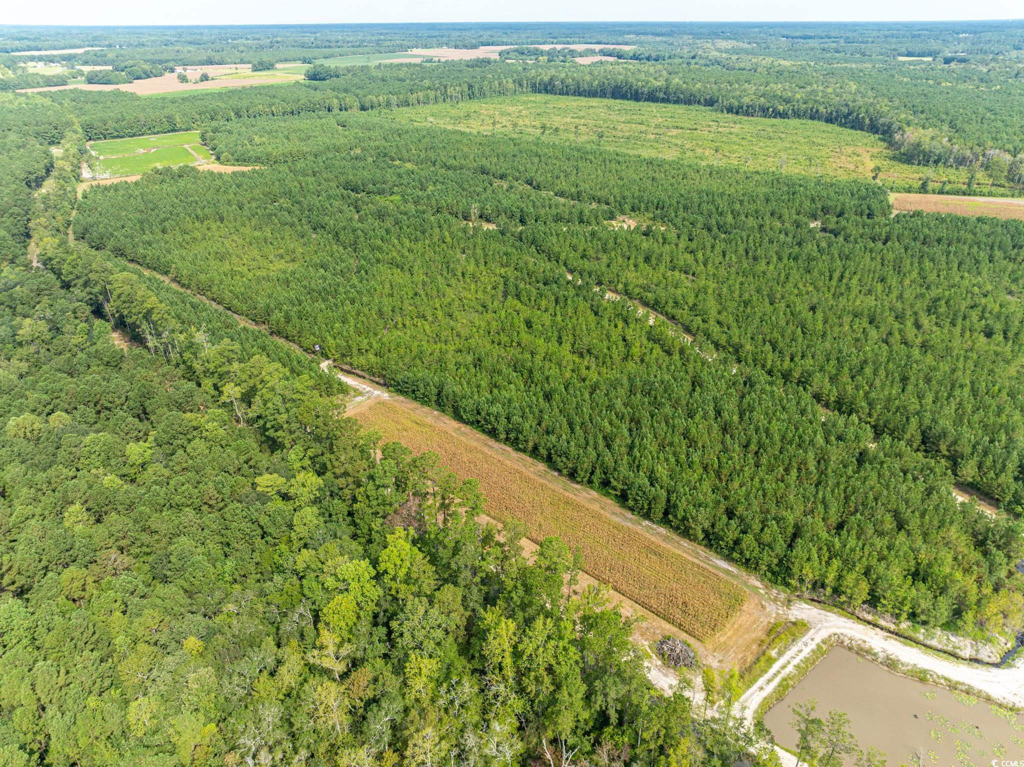 0 No Where Road Clarendon, NC 28432 - Photo 3 of 22 Aerial view of property's location featuring a forest and rural landscape