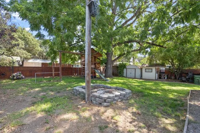 a view of a backyard with a barbeque grill and a large tree