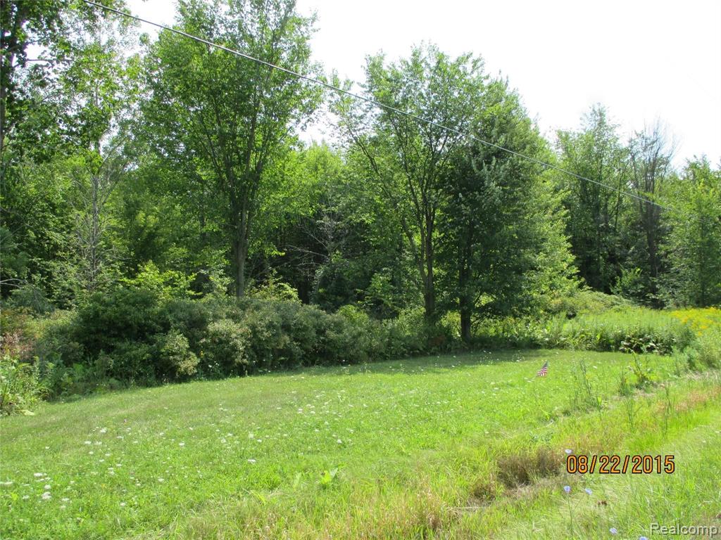 0 McKinley Road East China, MI 48054 - Photo 1 of 17
