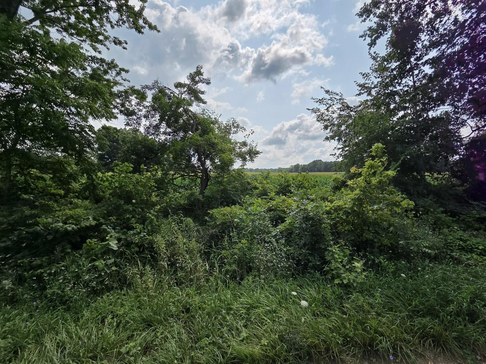 13 Mile Road Tekonsha, MI 49092 - Photo 2 of 25 0dedaf52-141c-4f6a-8577-8590b801d739 (1)