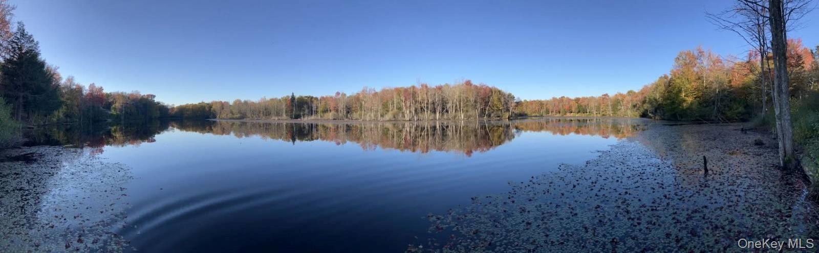 474 County Rte 15 Lacona, NY 13083 - Photo 7 of 21