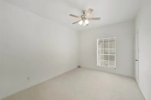 a view of a yard with plants and large trees