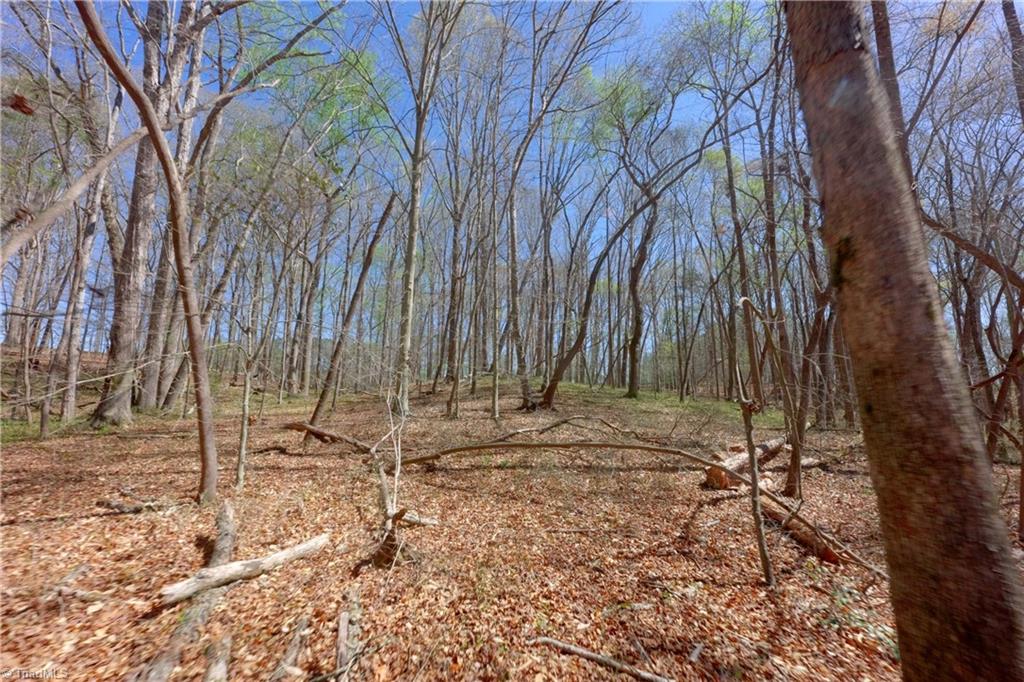 2 Alexander Farm Road Harmony, NC 28634 - Photo 11 of 33