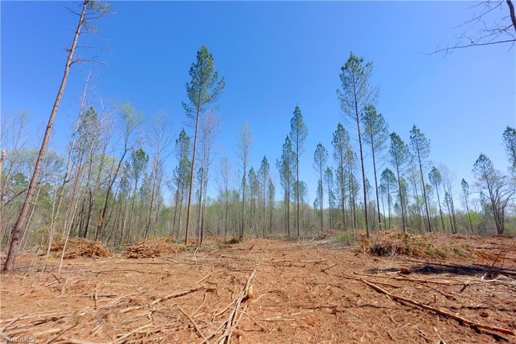 2 Alexander Farm Road Harmony, NC 28634 - Photo 12 of 33