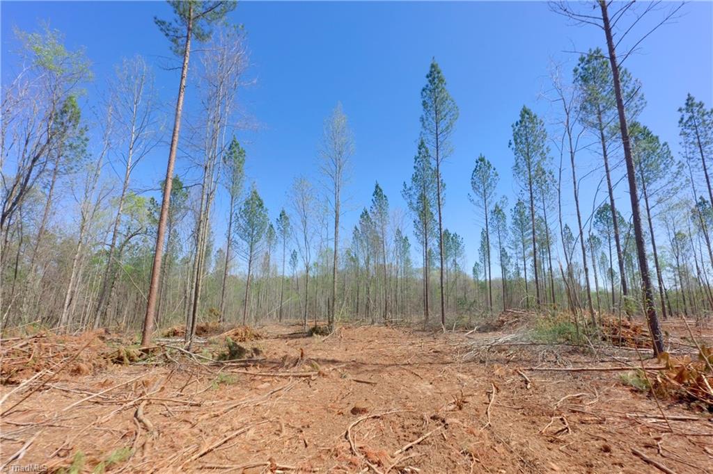 2 Alexander Farm Road Harmony, NC 28634 - Photo 13 of 33