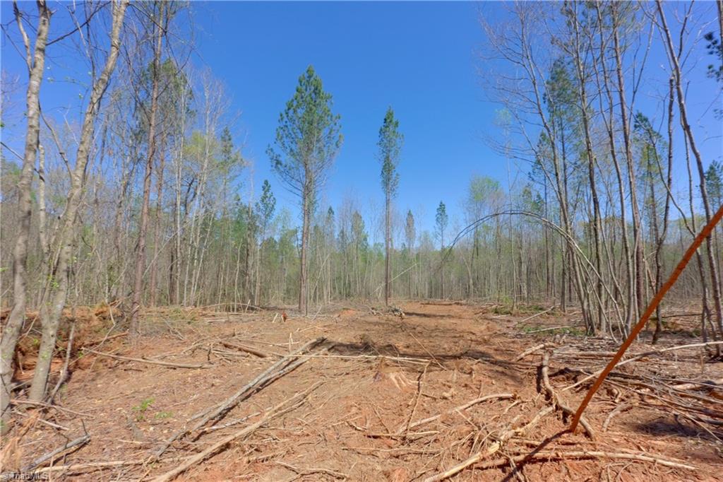 2 Alexander Farm Road Harmony, NC 28634 - Photo 14 of 33