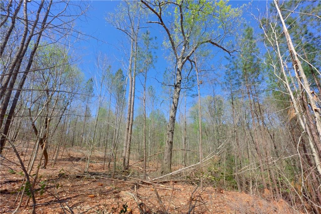 2 Alexander Farm Road Harmony, NC 28634 - Photo 15 of 33