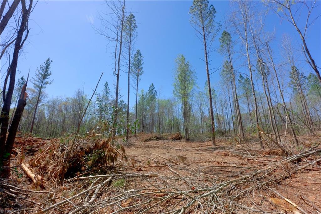 2 Alexander Farm Road Harmony, NC 28634 - Photo 16 of 33