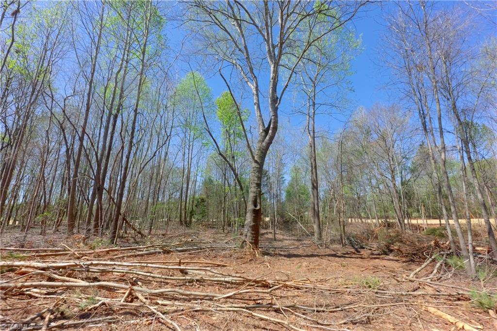 2 Alexander Farm Road Harmony, NC 28634 - Photo 17 of 33