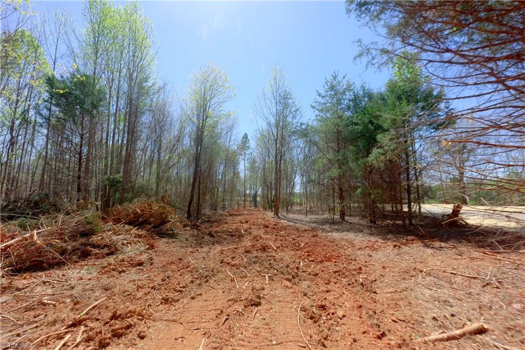 2 Alexander Farm Road Harmony, NC 28634 - Photo 18 of 33