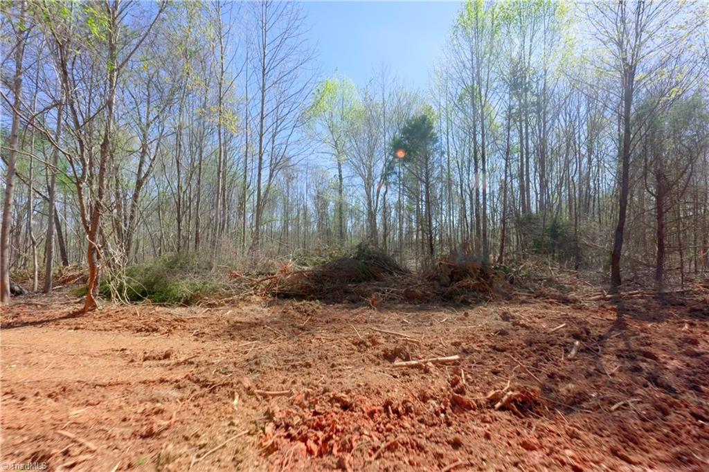 2 Alexander Farm Road Harmony, NC 28634 - Photo 4 of 33