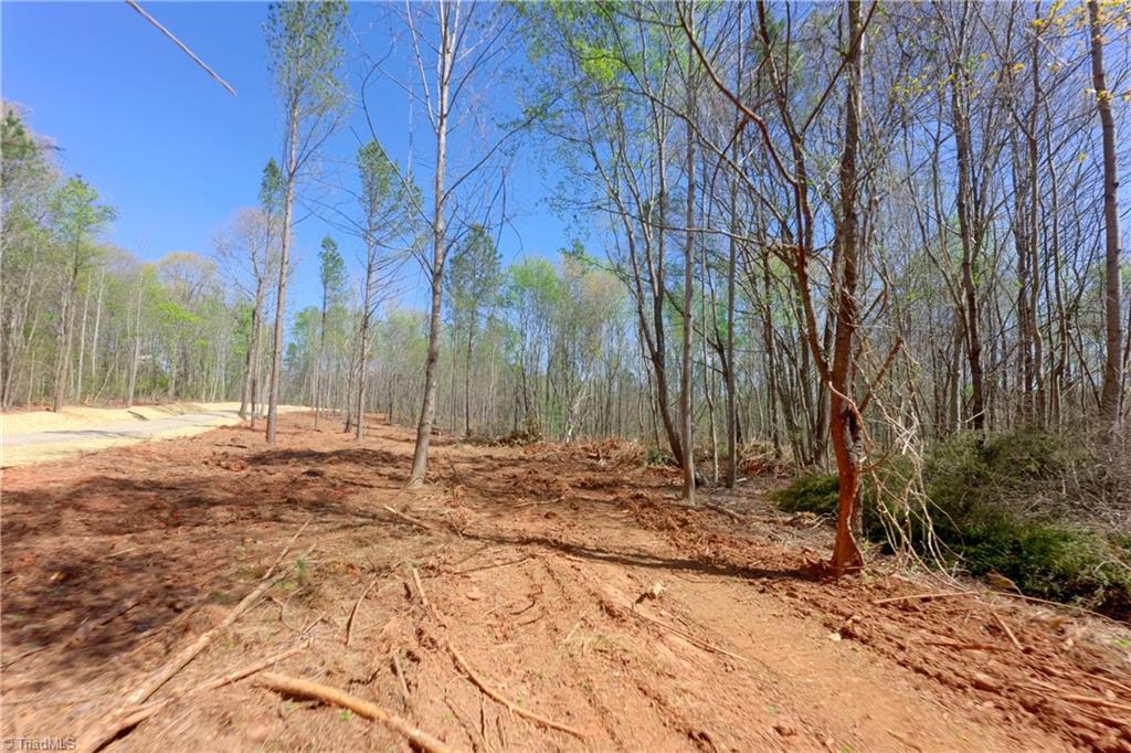 2 Alexander Farm Road Harmony, NC 28634 - Photo 5 of 33