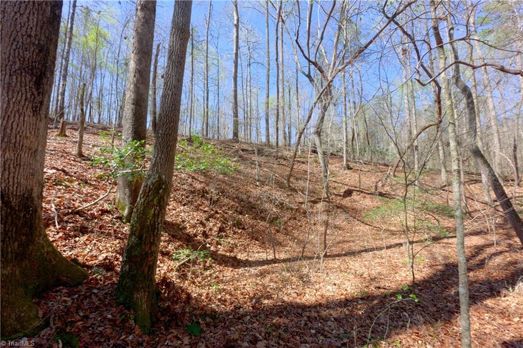 2 Alexander Farm Road Harmony, NC 28634 - Photo 6 of 33