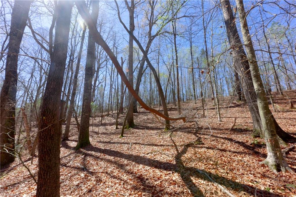 2 Alexander Farm Road Harmony, NC 28634 - Photo 7 of 33