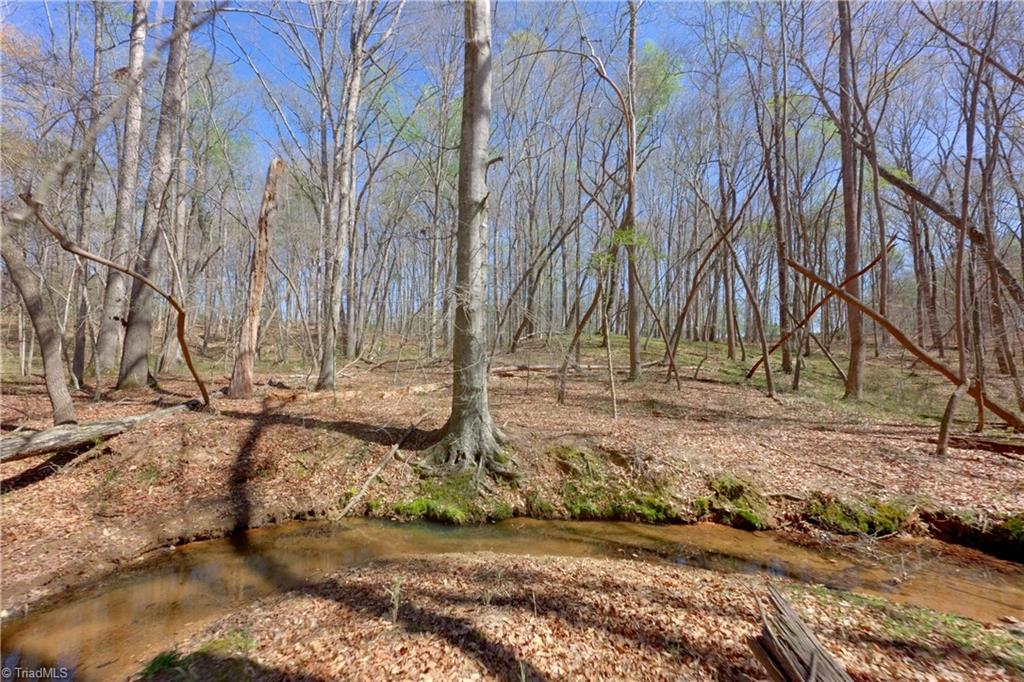 2 Alexander Farm Road Harmony, NC 28634 - Photo 10 of 33