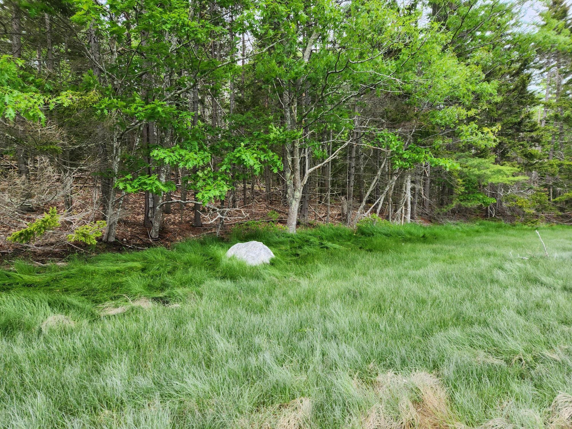 131 River Road Edgecomb, ME 04556 - Photo 6 of 28 20230606_153401