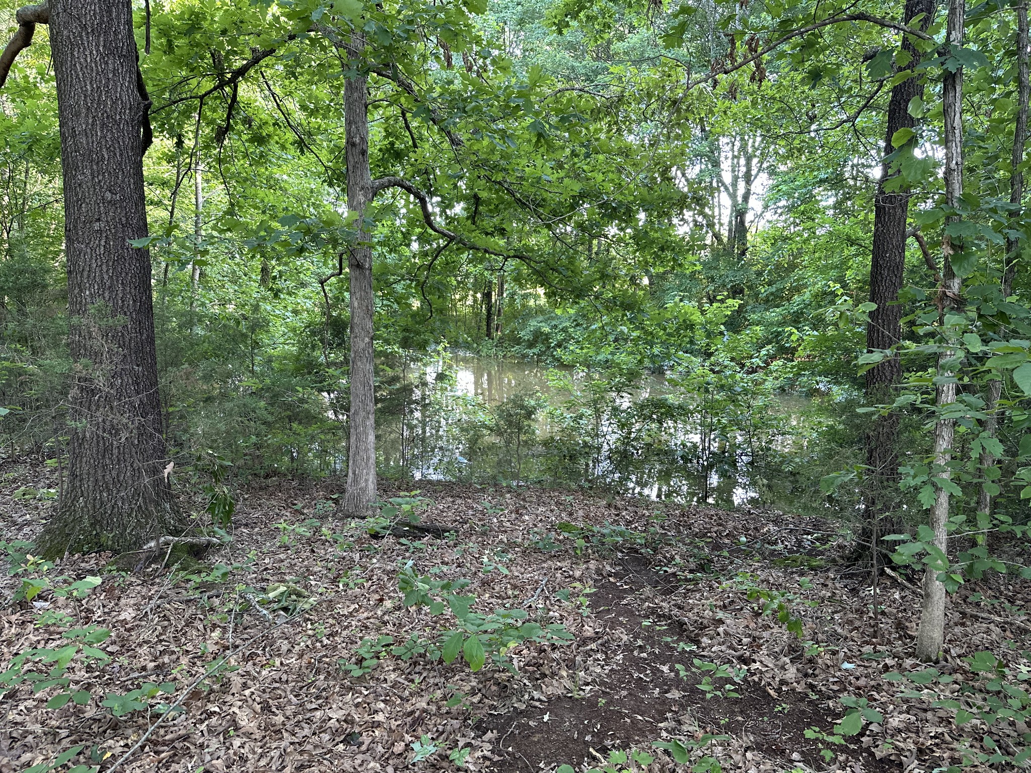 227 Carter Ridge Road Westmoreland, TN 37186 - Photo 54 of 60 Gallery Image 54