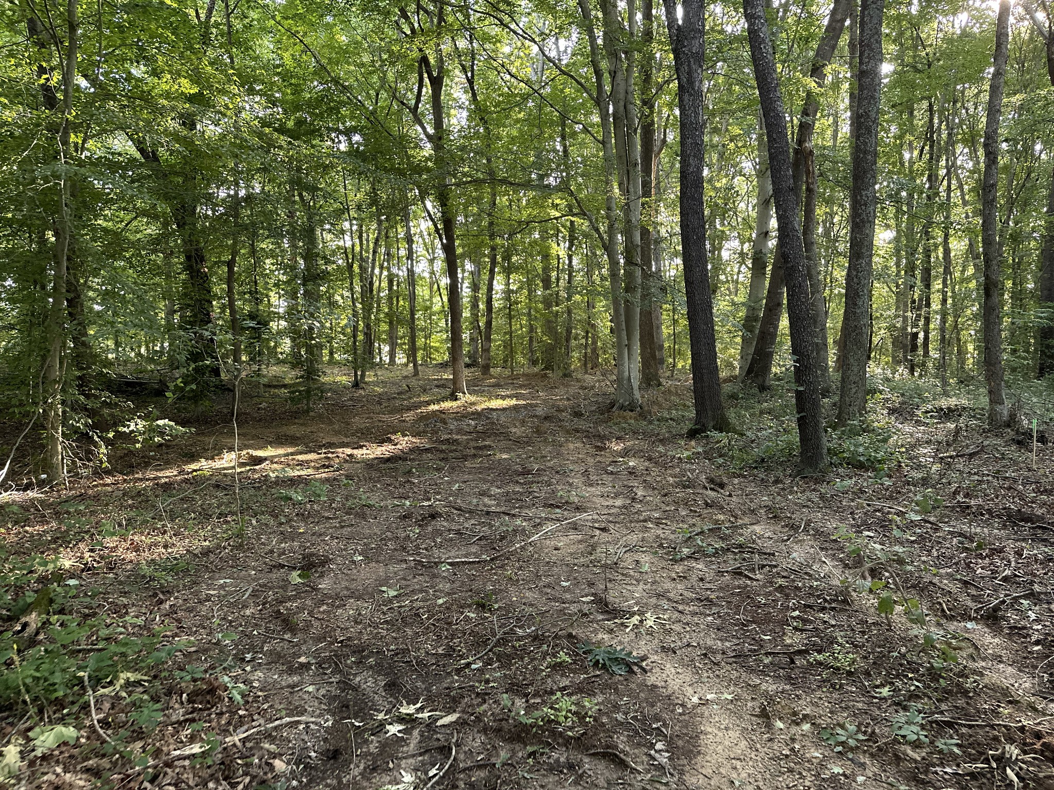 227 Carter Ridge Road Westmoreland, TN 37186 - Photo 58 of 60 Gallery Image 58