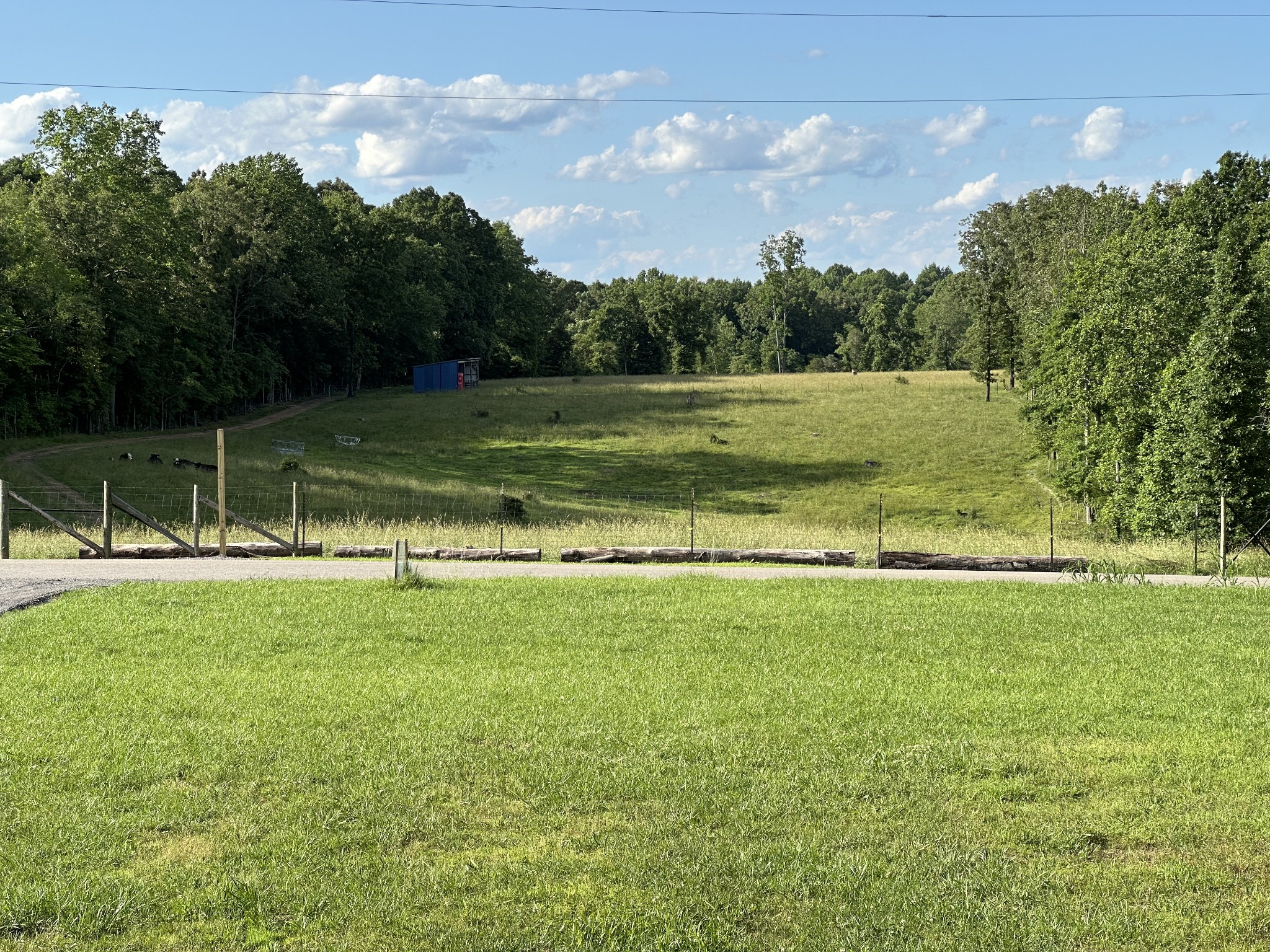 227 Carter Ridge Road Westmoreland, TN 37186 - Photo 7 of 60 Gallery Image 7