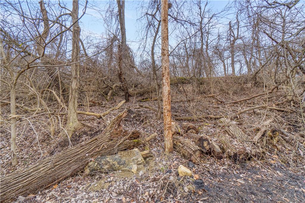 0 Elmdale Road Pittsburgh, PA 15205 - Photo 11 of 12 a view of a yard with trees in front of house
