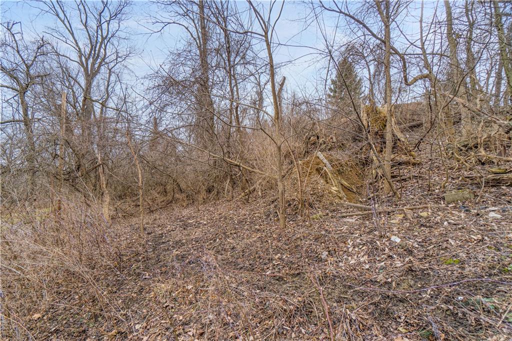 0 Elmdale Road Pittsburgh, PA 15205 - Photo 12 of 12 a view of a yard with trees