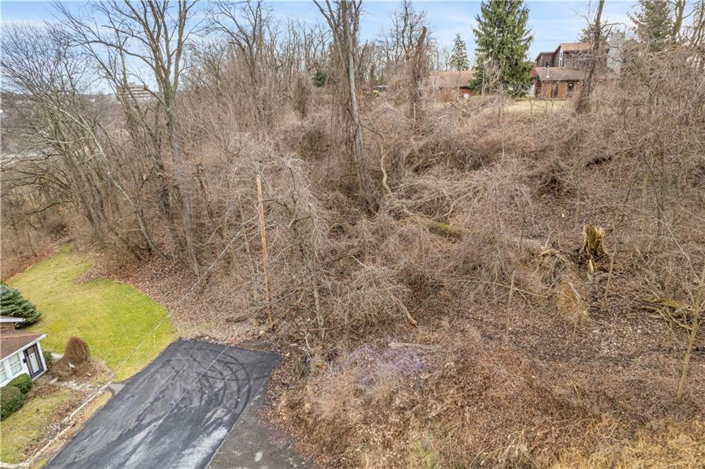 0 Elmdale Road Pittsburgh, PA 15205 - Photo 10 of 12 a view of a yard with large trees