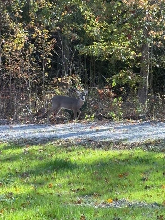 25565 69th Highway Adamsville, TN 38310 - Photo 33 of 34