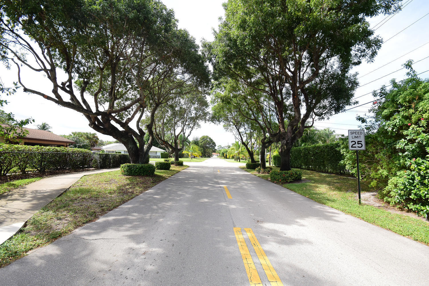 100 River Drive Tequesta, FL 33469 - Photo 52 of 54 a view of backyard with green space