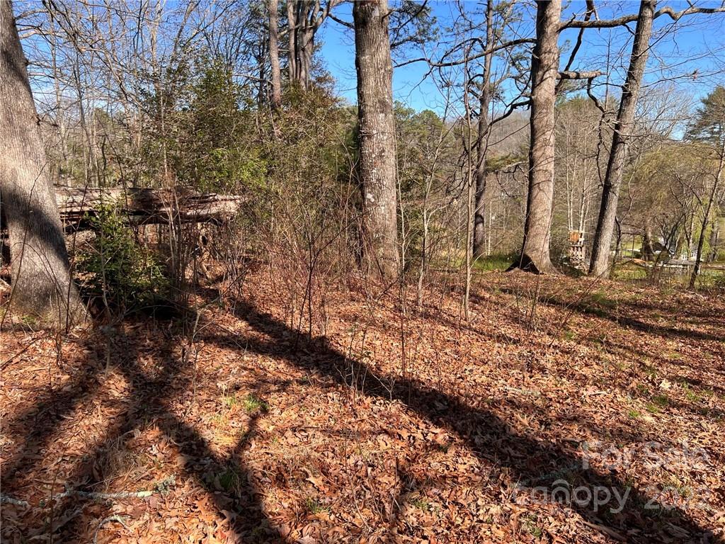 Tbd Tbd Jason Mccall Cemetery Road Balsam Grove, NC 28708 - Photo 14 of 14 a backyard of a house with lots of green space