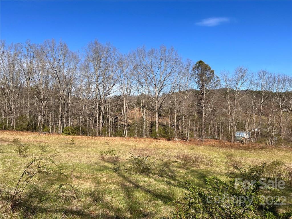 Tbd Tbd Jason Mccall Cemetery Road Balsam Grove, NC 28708 - Photo 5 of 14
