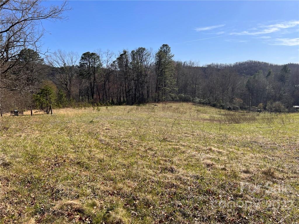 Tbd Tbd Jason Mccall Cemetery Road Balsam Grove, NC 28708 - Photo 10 of 14 a view of a yard