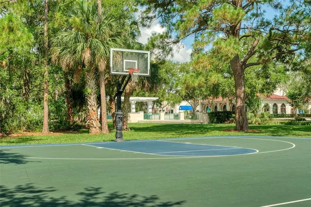 a view of a park with large trees