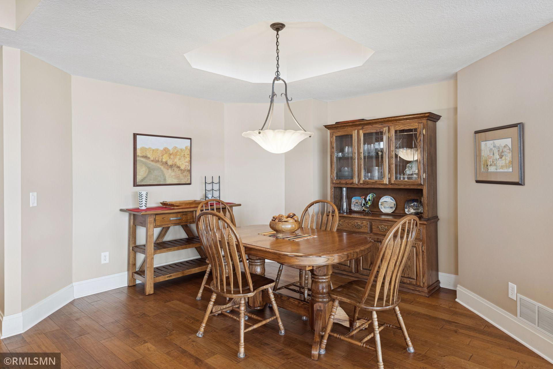 1197 Gallery Lane Chaska, MN 55318 - Photo 16 of 46