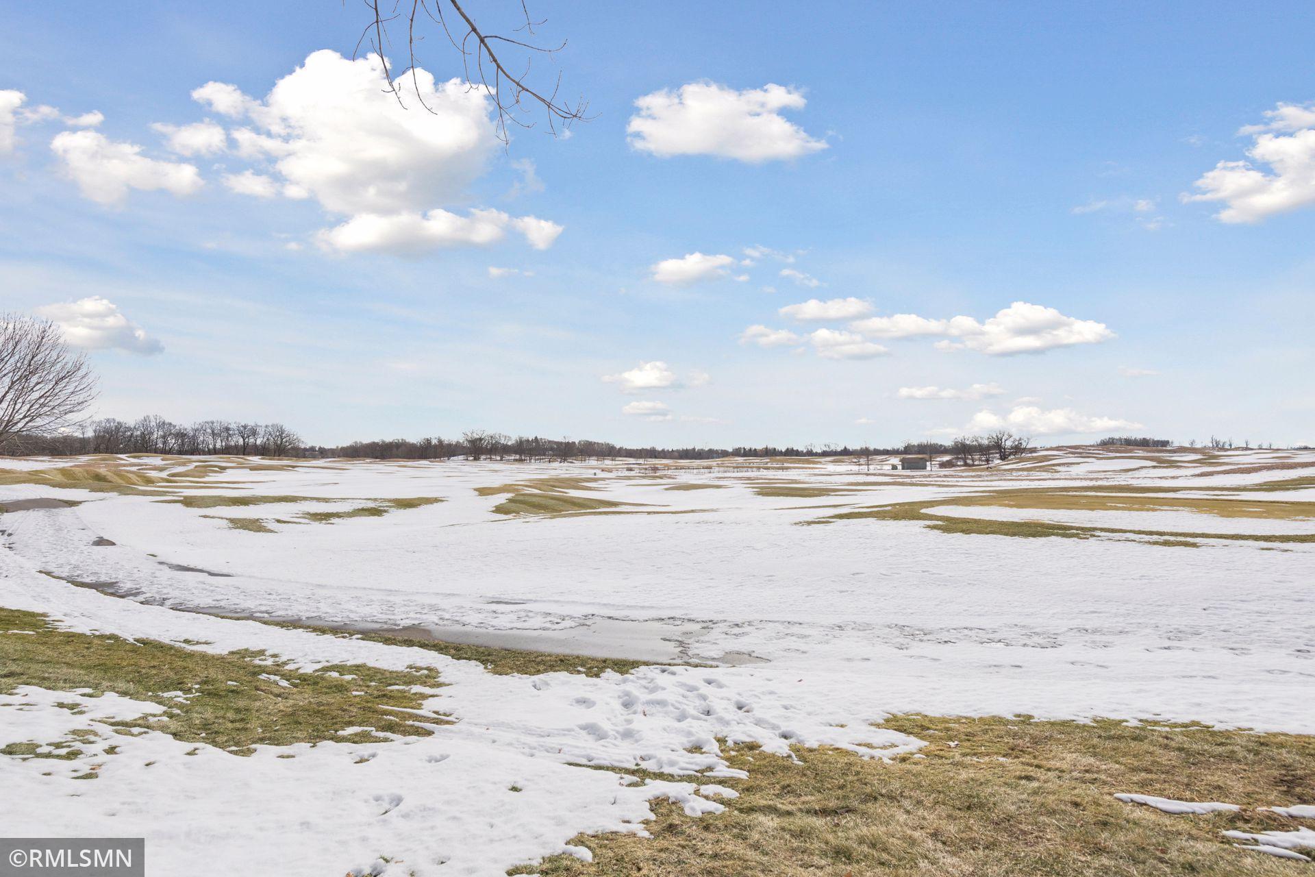 1197 Gallery Lane Chaska, MN 55318 - Photo 39 of 46