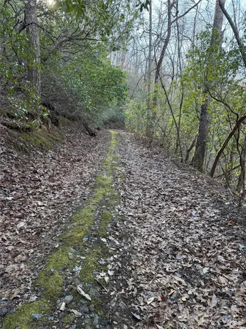 a view of a large yard with lots of green space
