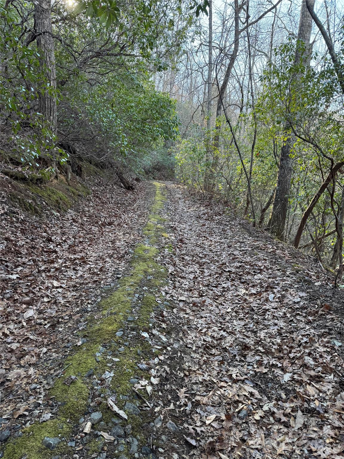 Lot #41 South Country Club Drive, Unit 41 Cullowhee, NC 28723 - Photo 3 of 7 a view of a large yard with lots of green space
