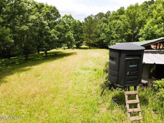 $118,000 | Tbd Pepper Town Road, Eupora, MS 39744