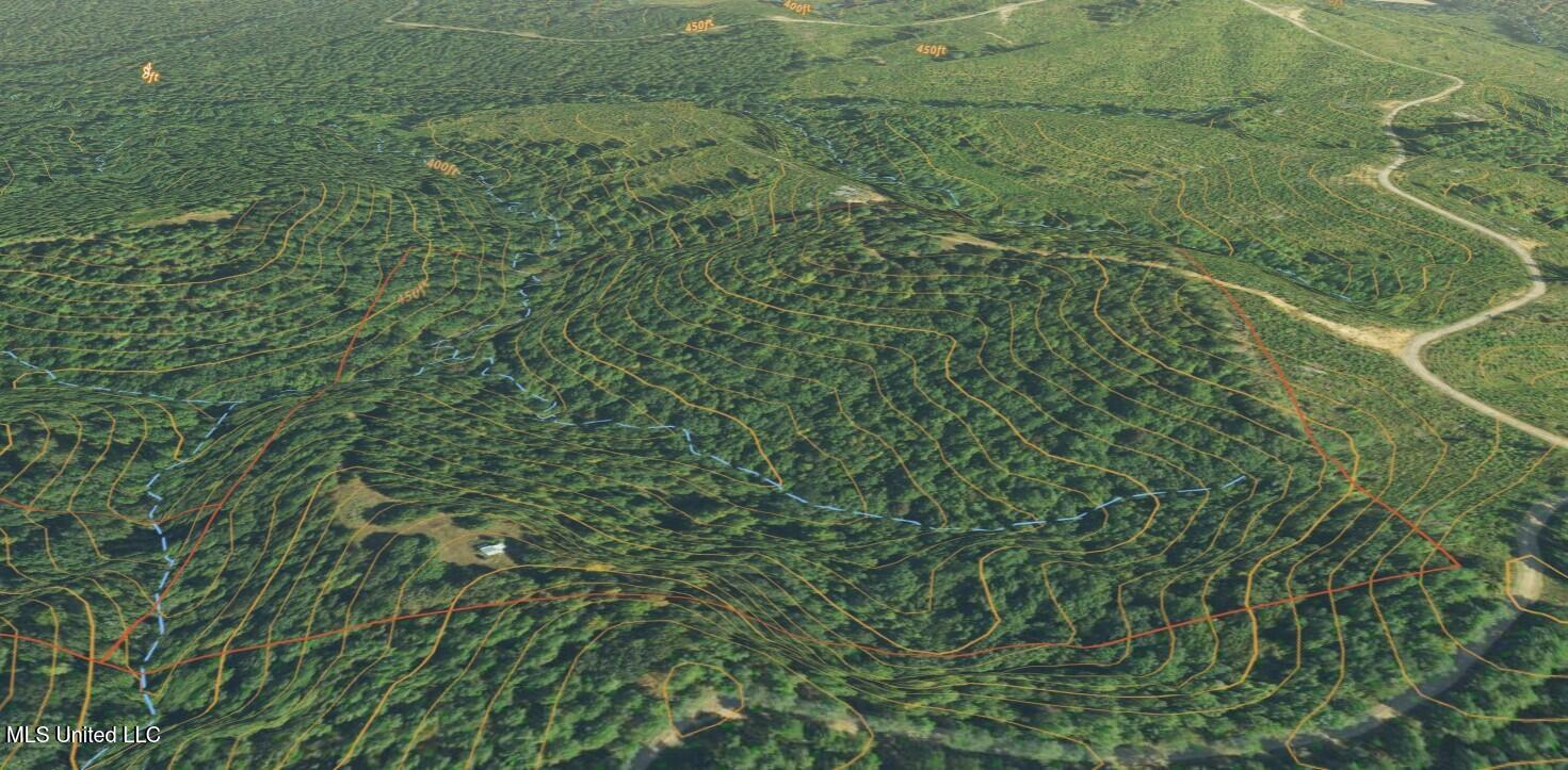 Tbd Pepper Town Road Eupora, MS 39744 - Photo 11 of 18 Screenshot 2025-06-07 100024